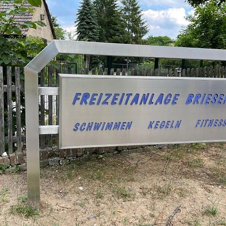 Ferienwohnung Unter den Linden Halbe Exterior foto